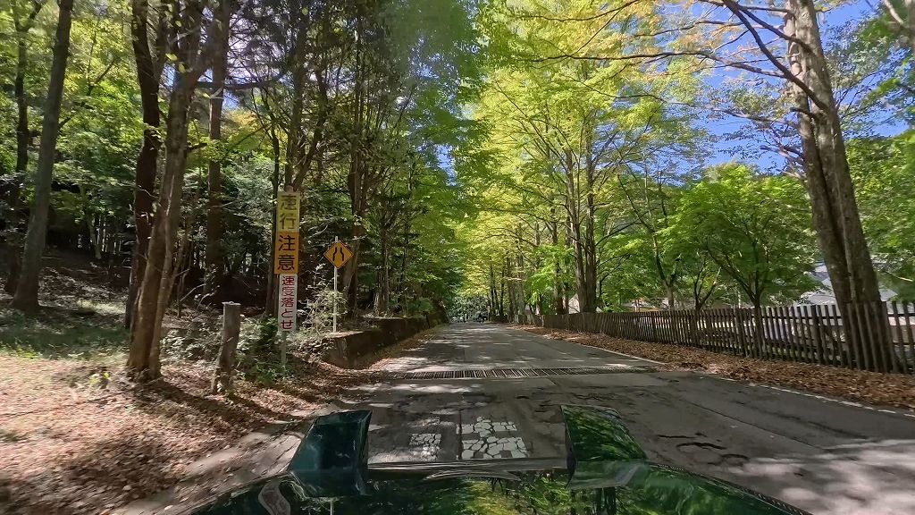 姫街道もみじライン